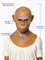Caesar – Realistic Creature Silicone Mask