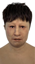 Li Ping Realistic Silicone Male Mask – Multiple Hairstyle Options