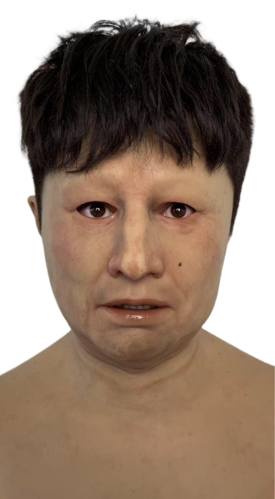 Li Ping Realistic Silicone Male Mask – Multiple Hairstyle Options